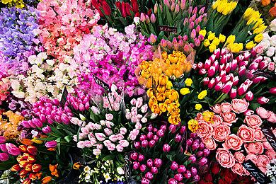 传《刺客信条：影》原本男主是山内鹰 协助德川家康服部半藏